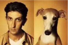 對于狗狗的這些秘密，您知道多少？