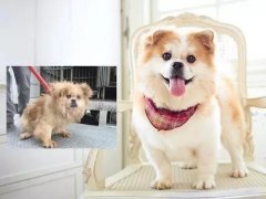 沒有誰，天生丑陋。